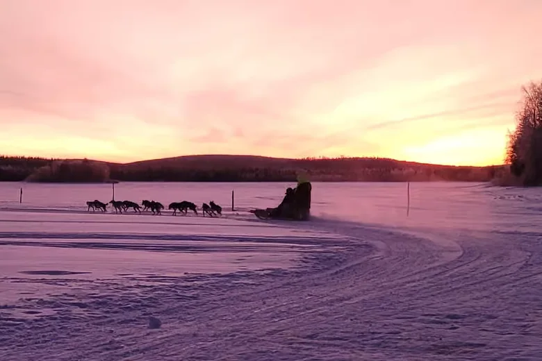 Husky team pulling a sled across a snowy field at sunset