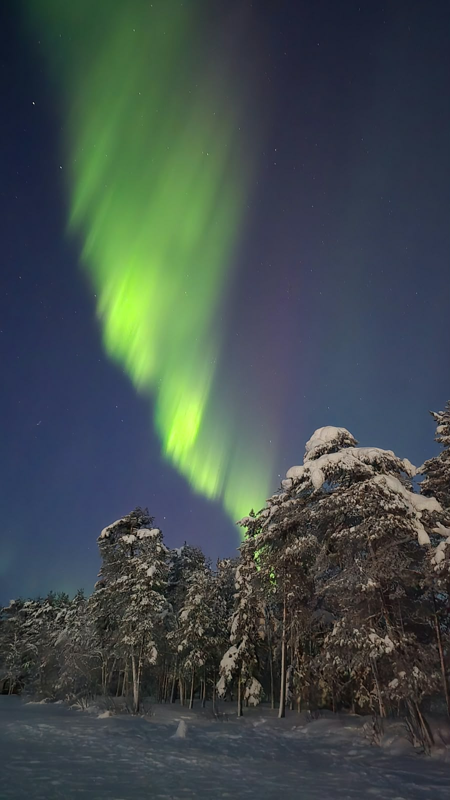 Northern Lights and travellers in Lapland