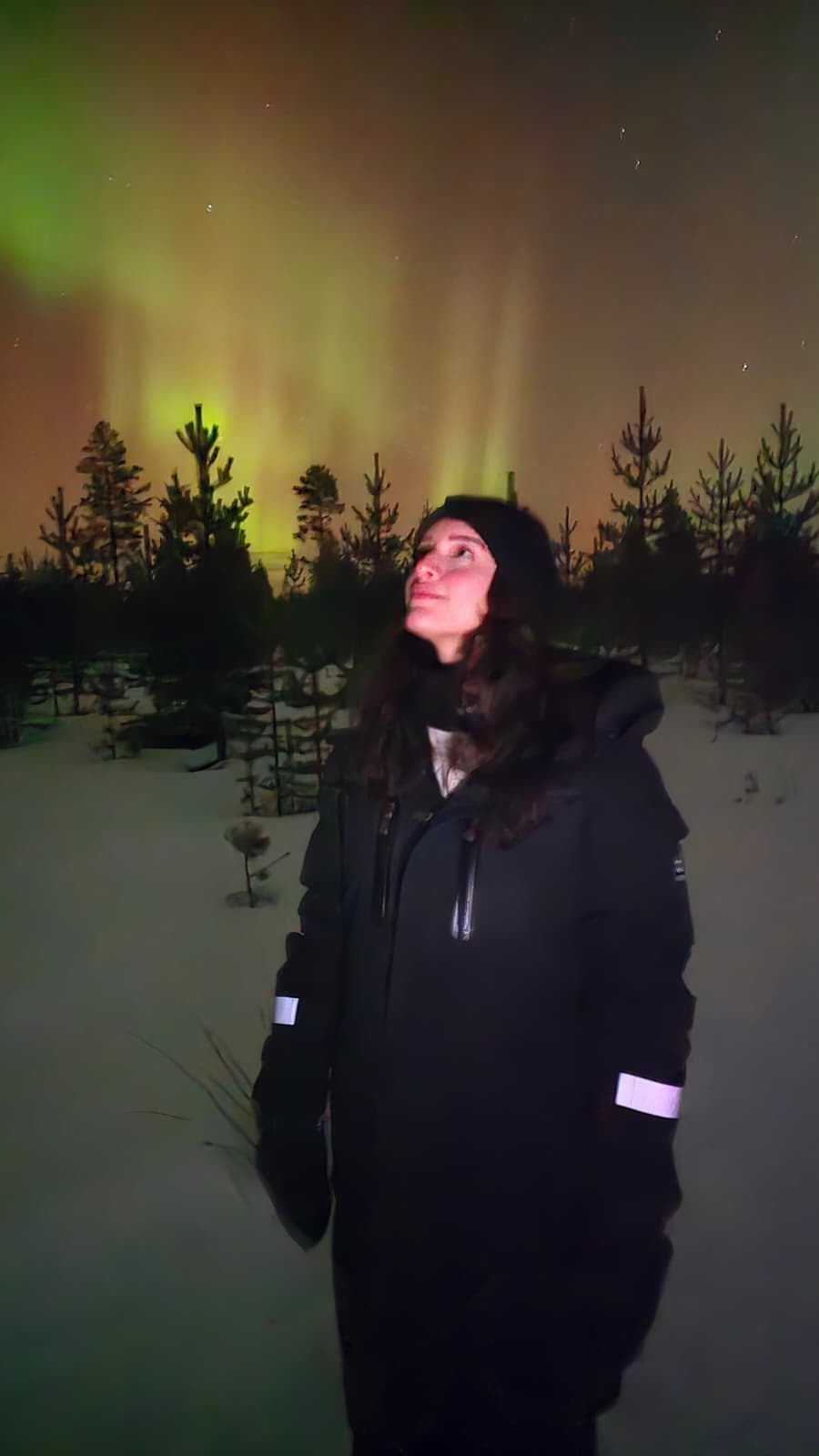 Northern Lights and travellers in Lapland